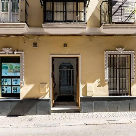 Behouse Alfalfa Sevilla Dış mekan fotoğraf